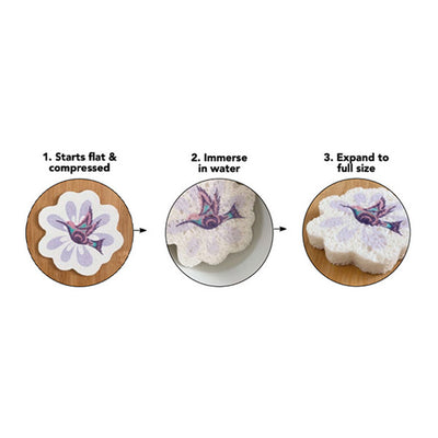 Hummingbird (Nenookaasi) Eco Sponge | Native Northwest | boogie + birdie