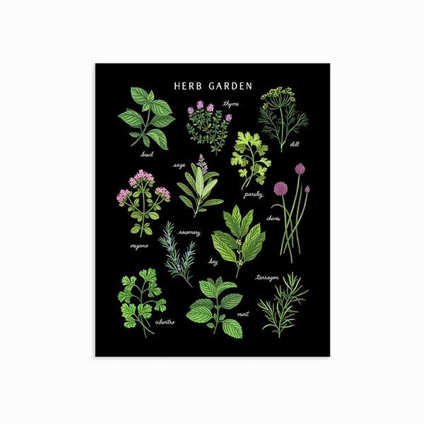 Herb Garden Print Dark Background | Linden Paper Co. | boogie + birdie