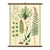 Ferns Vintage Wall Art | Cavallini Paper & Co. | Shop vintage styles and prints at boogie + birdie