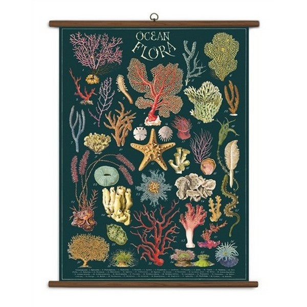 Ocean Flora Vintage Wall Art | Cavallini Paper & Co. | Shop vintage styles and prints at boogie + birdie