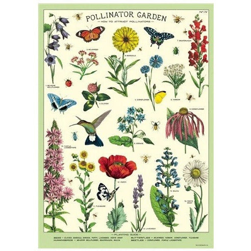 Pollinator Garden Wrap Sheet / Poster | Shop Cavallini Paper at boogie + birdie in Ottawa.