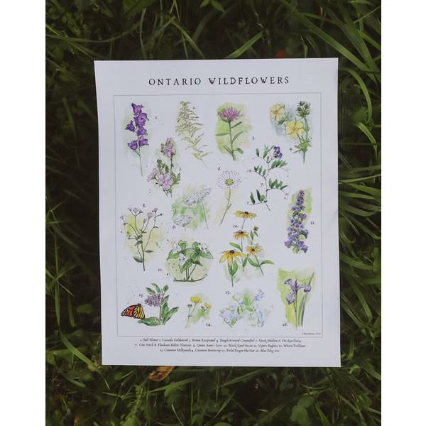 Wildflowers Print | Heirloom Island | boogie + birdie