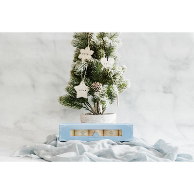 Assorted Winter 1oz Soy Candles | Set of 5 | The Scented Market | boogie + birdie