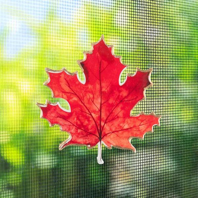 Maple Leaf Magnet | Decor | boogie + birdie