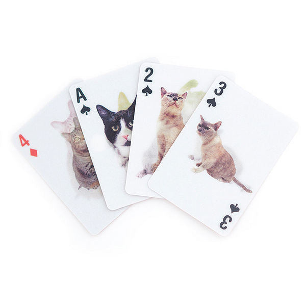 3D Cats Playing Cards | Kikkerland | boogie + birdie