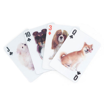 3D Dogs Playing Cards | Kikkerland | boogie + birdie