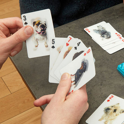 3D Dogs Playing Cards | Kikkerland | boogie + birdie