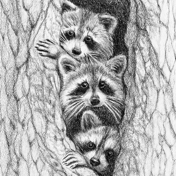 Three Raccoons In A Tree 8x10 Print | Le Nid Atelier | boogie + birdie