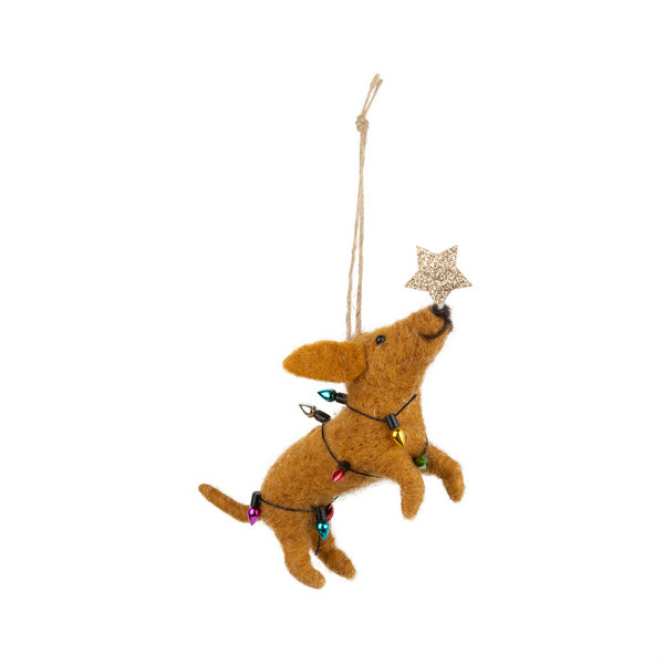 Dog Tan Wrapped in Christmas Lights with Star Nose Felt Ornament | Holiday Decor | boogie + birdie