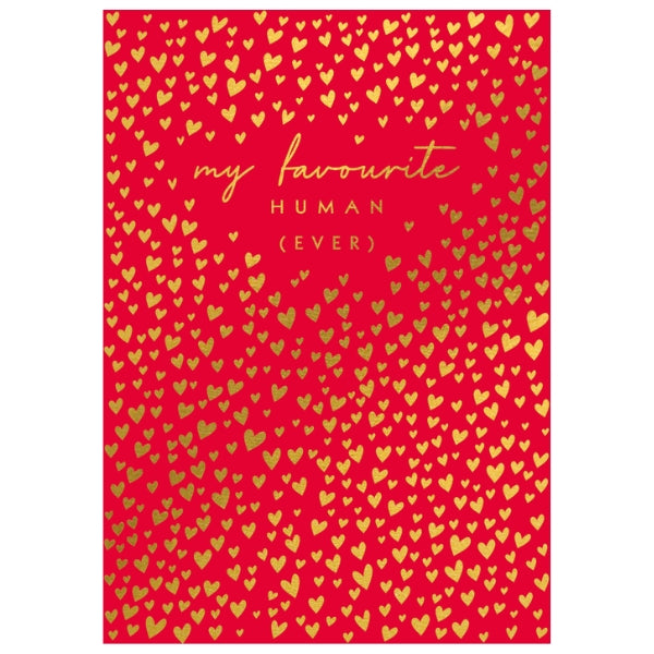 My Favourite Human (Ever) Love Card  | Love Cards | boogie + birdie