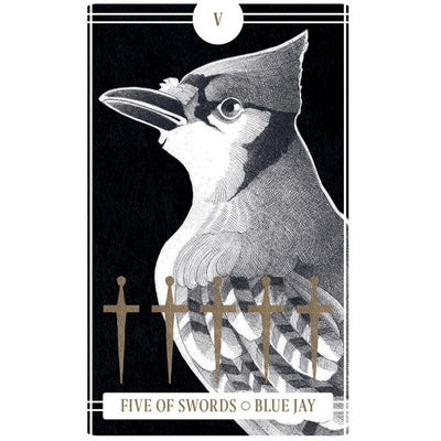 Avian Tarot Deck | Activities | Raincoast Books | boogie + birdie