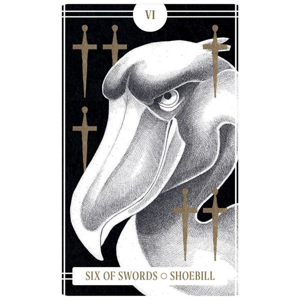 Avian Tarot Deck | Activities | Raincoast Books | boogie + birdie