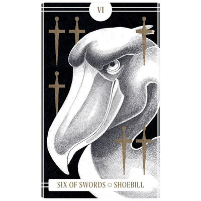 Avian Tarot Deck | Activities | Raincoast Books | boogie + birdie