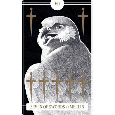 Avian Tarot Deck | Activities | Raincoast Books | boogie + birdie