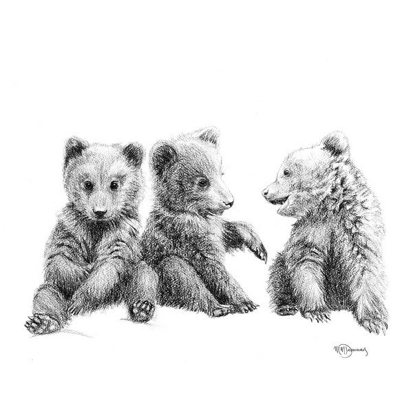 Three Bear Cubs 8x10 Print | Le Nid Atelier | boogie + birdie