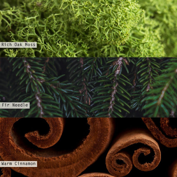 Balsam and Cedar Demi Tin | Home | boogie + birdie