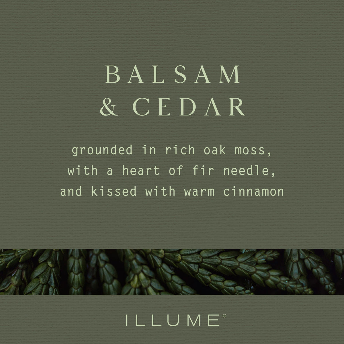 Balsam and Cedar Demi Tin Candle
