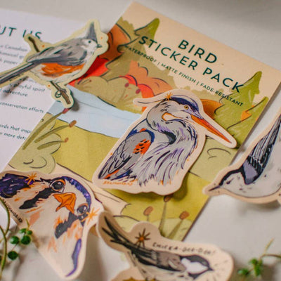 Birds Sticker | Set of 5 | Brush + Bird Paper Co. | boogie + birdie