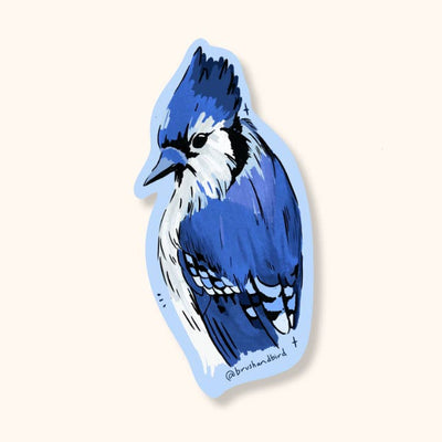 Blue Jay Sticker | Brush + Bird Paper Co. | boogie + birdie