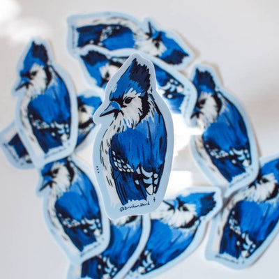 Blue Jay Sticker | Brush + Bird Paper Co. | boogie + birdie