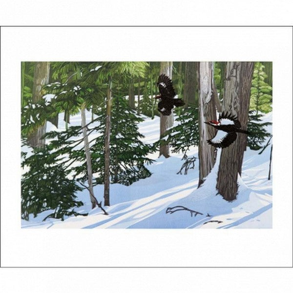 Chasing Daylight Card | Holiday Cards | boogie + birdie