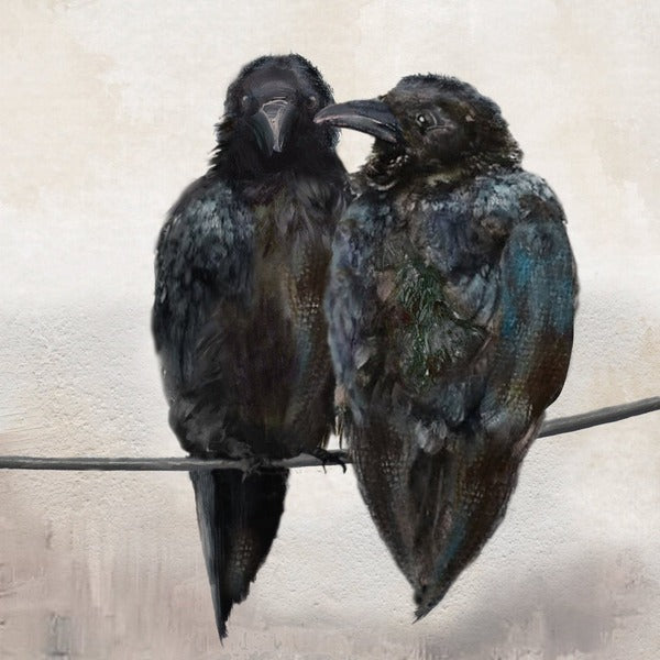 Crows Together Marble Coaster (MC3028) | Cedar Mountain | boogie + birdie