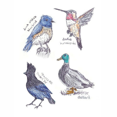 Field Guide to Dumb Birds Sticker Book | Raincoast | boogie + birdie