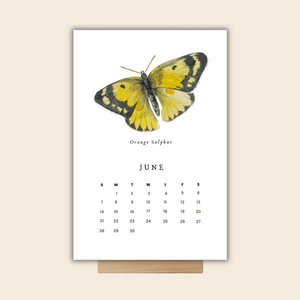 Butterflies Desk 2026 Calendar | Heirloom Island | boogie + birdie