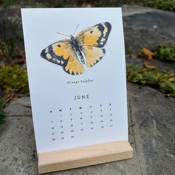 Butterflies Desk 2026 Calendar | Heirloom Island | boogie + birdie