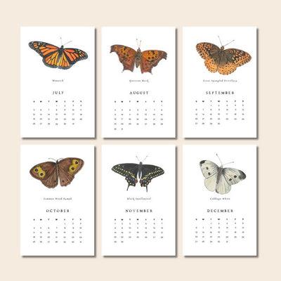 Butterflies Desk 2026 Calendar | Heirloom Island | boogie + birdie