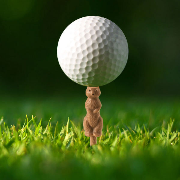 Gopher Golf Tees | Set of 6 | Kikkerland | boogie + birdie