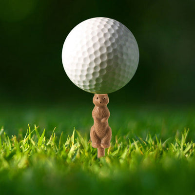Gopher Golf Tees | Set of 6 | Kikkerland | boogie + birdie