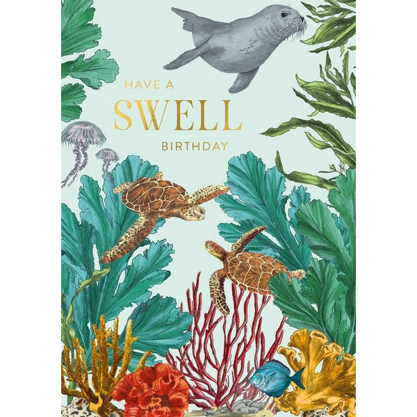 Seal Birthday Card | Art File | boogie + birdie