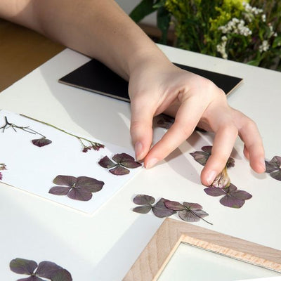 Make Your Own Pressed Flower Art | Kikkerland | boogie + birdie