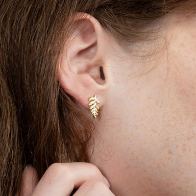 Gold Fern Stud Earrings  | Birch Jewellery | boogie + birdie