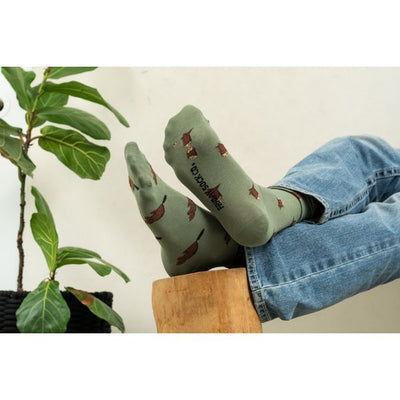 Men's Beaver & Log Mistmatched Socks | Friday Sock Co. | boogie + birdie