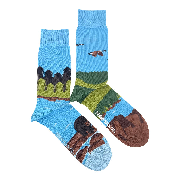 Men's Canadian Shield Socks | Friday Sock Co. | boogie + birdie
