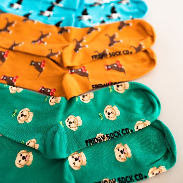 Men's Labrador Socks | Friday Sock Co. | boogie + birdie