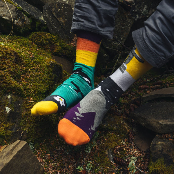 West Coast Canadian Landscape Men's Socks | Friday Sock Co. | boogie + birdie