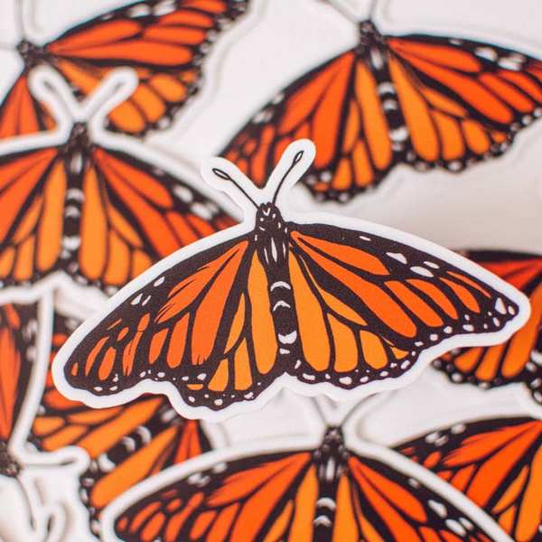 Monarch Butterfly Sticker | Brush + Bird Paper Co. | boogie + birdie