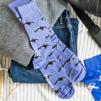 Men's Humpback Whale & Orca Socks | Friday Sock Co. | boogie + birdie