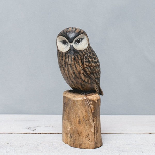 Saw Whet Owl Hand Carved Statue | boogie + birdie