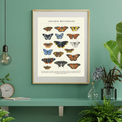 Butterflies Print 11x14 | Heirloom Island | boogie + birdie