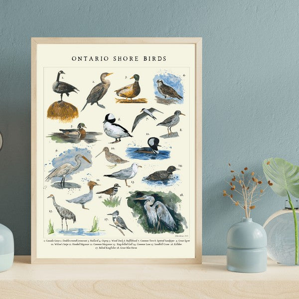 Shore Birds Print 11x14 | Heirloom Island | boogie + birdie