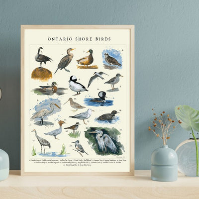 Shore Birds Print 11x14 | Heirloom Island | boogie + birdie