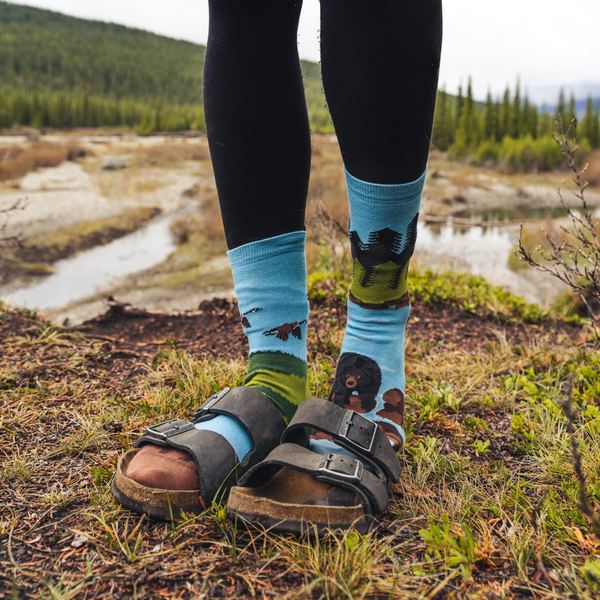 Women's Canadian Shield Landscape Socks | Friday Sock Co. | boogie + birdie