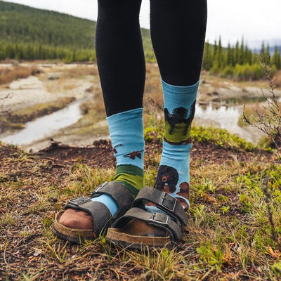 Women's Canadian Shield Landscape Socks | Friday Sock Co. | boogie + birdie