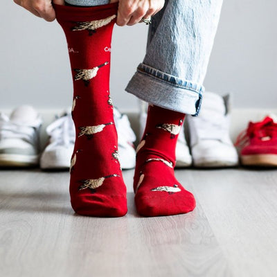 Women's Canada Goose Socks | Friday Sock Co. | boogie + birdie