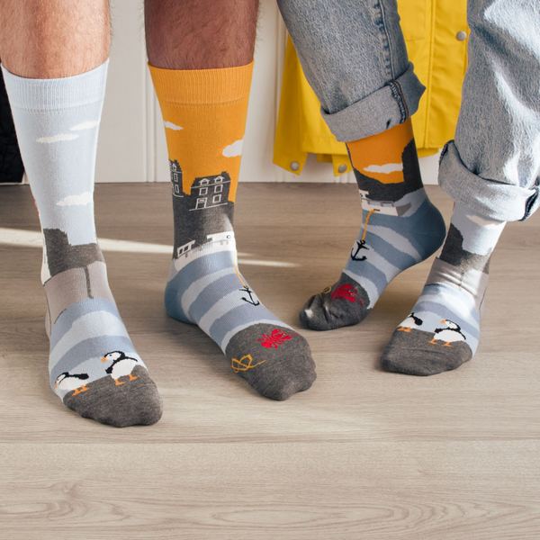 Women's East Coast Canadian Socks | Friday Sock Co. | boogie + birdie