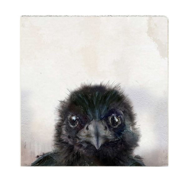 Baby Crow Art Block | Cedar Mountain | boogie + birdie